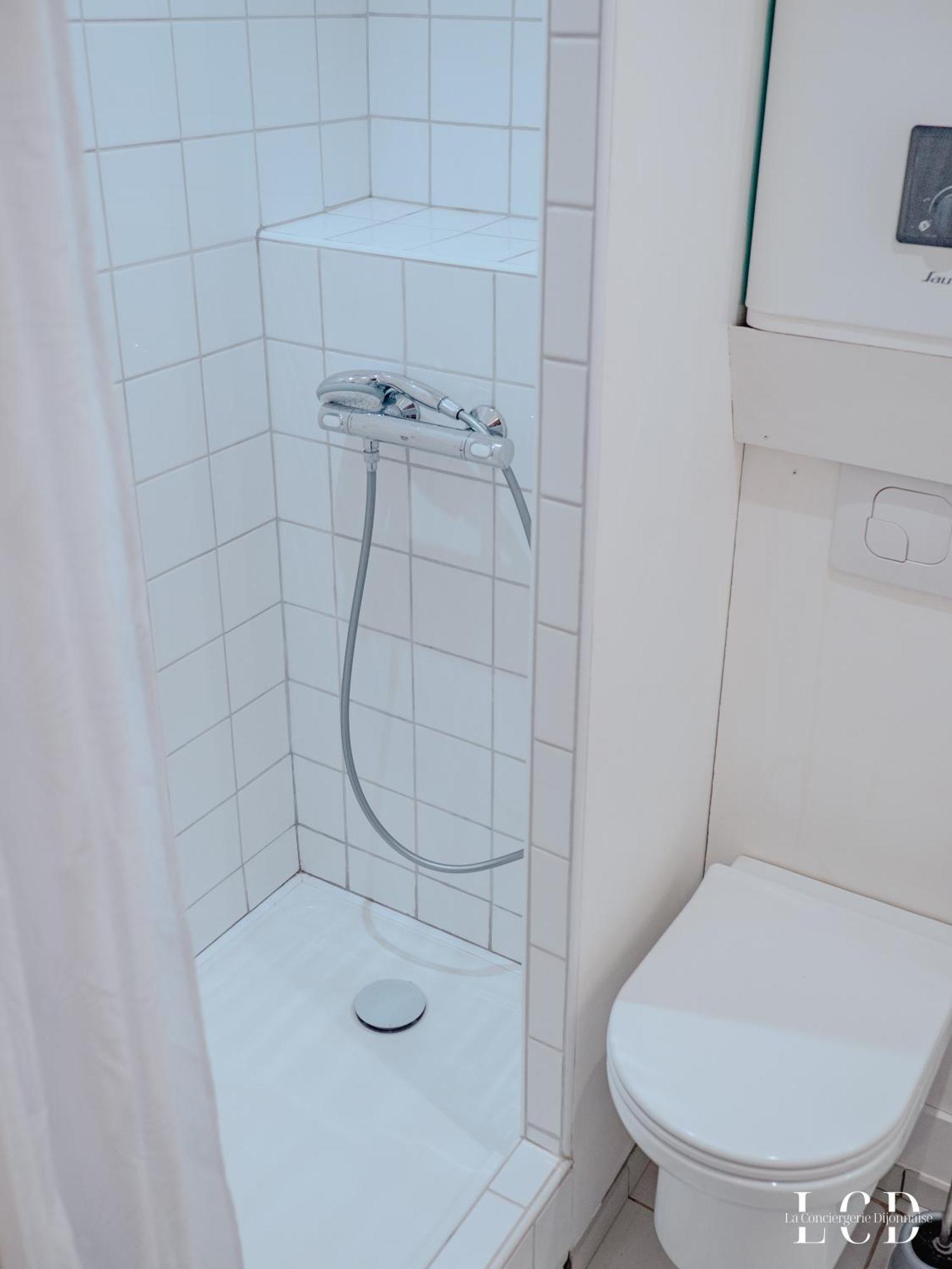 Le Berbisey Centre Apartment *